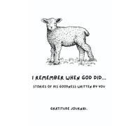 I Remember when God did...: Stories of his goodness written by you