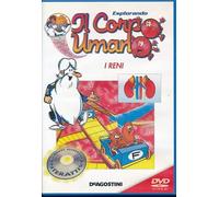 I Reni - Esplorando il Corpo Umano 12