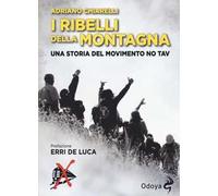 I ribelli della montagna. Una storia del movimento No Tav