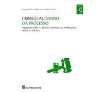 I rimedi al danno da processo