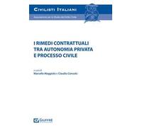 I rimedi contrattuali tra autonomia privata e processo civile