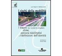I rischi della mobilità. I traumi da incidente stradale: stime, percorsi riabilitativi e ridefinizioni dell'identità