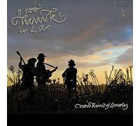 I See Hawks In L.A. - New Kind Of Lonely