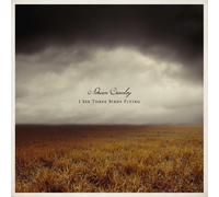 I See Three Birds Flying - Adrian Crowley (Audio cd)