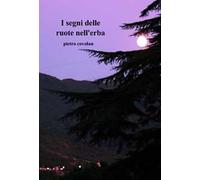 I segni delle ruote nell'erba