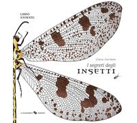 I segreti degli insetti. Ediz. a colori - Corman Clara