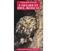 I segreti del bosco – Chaos
