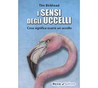 i sensi degli uccelli. Cosa significa essere un uccello
