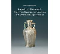 I sepolcreti dimenticati: le necropoli romane di Malgesso e di Oltrona al ...