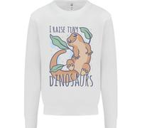 I Sollevatori Di Piccoli Dinosauri Lucertole Camaleonti Uomo Felpa Maglione