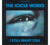 I Still Want You - Icicle Works, The 12"