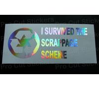 I Survived The Scrappage Schema Argento Ologramma Neo Cromato Divertente Adesivi
