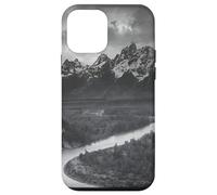 I Tetons e il fiume Snake Custodia per iPhone 12 mini