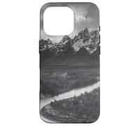 I Tetons e il fiume Snake Custodia per iPhone 16 Pro