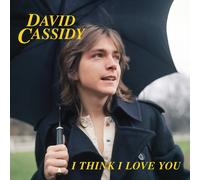 David Cassidy I Think I Love You (Vinyl LP)