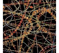 I Thought You Were My Boyfriend by Magnetic Fields (2004-06-29)