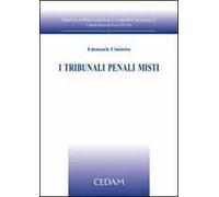 I tribunali penali misti