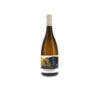 I Vigneri di Salvo Foti Vigna di Milo 2024
