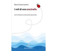 I voli di una coccinella