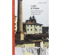 I volti di Proteo. Storia della piccola impresa in Italia nel Novecento