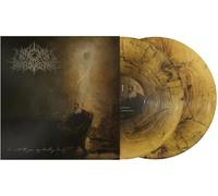 I Write To You, My Darling Decay