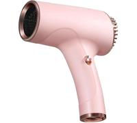 IAAZMLQT Asciugacapelli Ricaricabile Senza Fili, 2600 mAh, asciuga Capelli con Cavo Ricaricabile con Ricarica USB, asciugacapelli, Batteria a Vento Freddo e Caldo, per Viaggi Campeggio