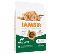 IAMS 2 x 10 / 15 kg Crocchette per gatto - Advanced Nutrition Adult Cat con agnello (2 x 10 kg)