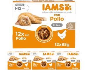 IAMS Advanced Nutrition Kitten cibo umido, multipack di cibo per gatti con pollo in salsa, cibo di alta qualità per gattini junior da 1 a 12 mesi, 12 x 85g (Confezione da 4)