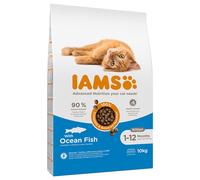 IAMS Advanced Nutrition Kitten Pesce oceanico Crocchette per gatto - Set %: 2 x 10 kg