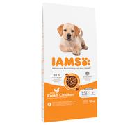 IAMS Advanced Nutrition Puppy Large Pollo Crocchette per cane - Set %: 2 x 12 kg