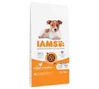 10 kg + 2 kg gratis! 12 kg IAMS Advanced Nutrition Crocchette per cani - Puppy Small / Medium Pollo