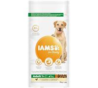IAMS Cibo secco per cani adulti taglia grande con pollo, 3 kg | Crocchette per cani da 1 anno | Per razze grandi | Alimento secco con pollo fresco