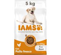 IAMS Cibo secco per cani di taglia grande con pollo fresco, 1+ anni, 5kg, Razze Grandi (oltre 25 kg)