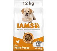 IAMS Cibo secco per cuccioli di Taglia Grande con Pollo fresco, 12 kg
