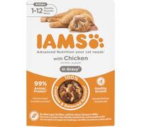 IAMS Delights Kitten cibo umido - Multipack di cibo per gatti con pollo in salsa, cibo di alta qualità per gattini junior da 1 a 12 mesi, 24 x 85 g