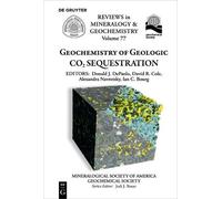Ian C. Bourg Geochemistry of Geologic CO2 Sequestration (Tascabile)