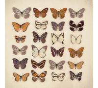 Ian Winstanley Farfalla Collection-Tela, 40 x 40 cm, Motivo: Impronte, Colore: Multicolore