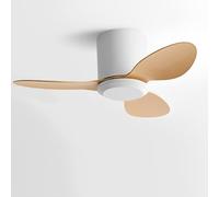 IBalody Ventilatore da soffitto senza luce Piccolo ventilatore da soffitto moderno con telecomando 6 velocità ventilatore da soffitto senza luci per ristorante camera da letto Patio (25 pollici)