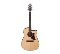 Ibanez AAD170CE-LGS