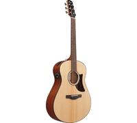 Ibanez AAM100E-NT - Chitarra acustica