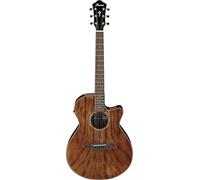 Ibanez Acoustic guitar / AEG61NMH Standard