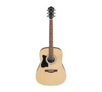 Ibanez Acoustic Guitar / V50LNJPOPN