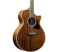 Ibanez AE245-NT