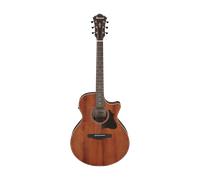 Ibanez AE140-OPN Open Pore Natural