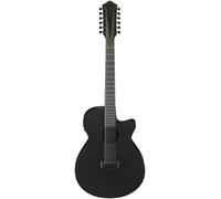 Ibanez AEG1221-BOT
