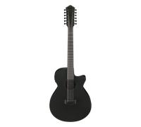 Ibanez AEG1221-BOT