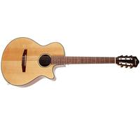 Ibanez AEG50N-NT Nylon