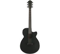 Ibanez AEG621-BOT