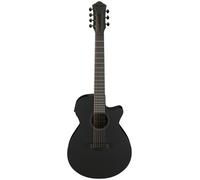 Ibanez AEG721-BOT Black Out