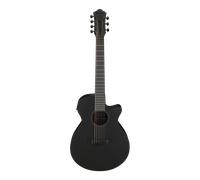 Ibanez AEG721-BOT Black Out